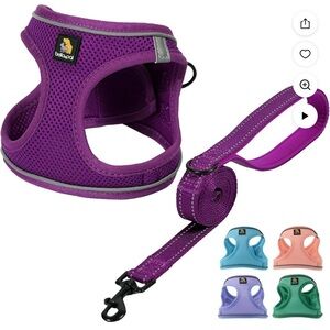 Purple Dog Harness and Leash Set